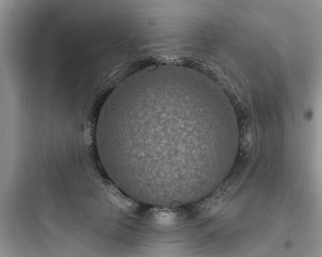 X0000097910658200803211506