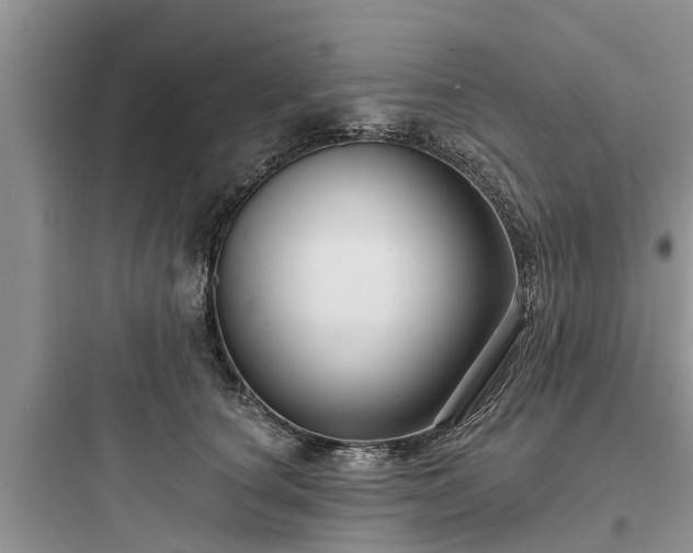 X0000097910660200803211506