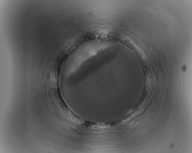 X0000097910661200803211506