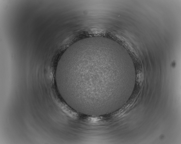 X0000097910662200803211506