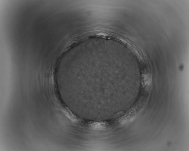 X0000097910664200803211506