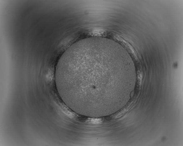 X0000097910665200803211506