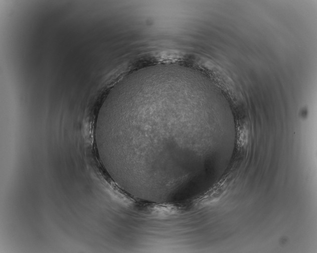 X0000097910666200803211506