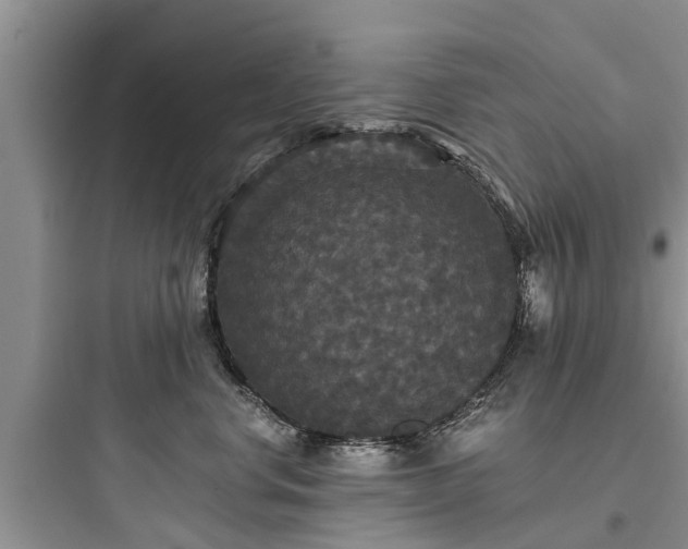 X0000097910668200803211506