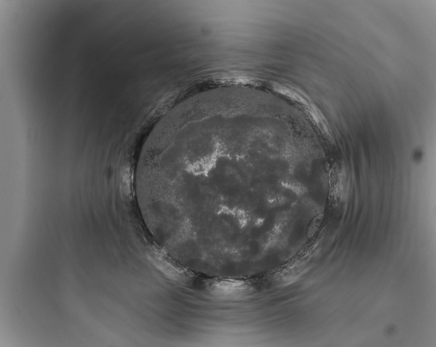 X0000097910669200803211506