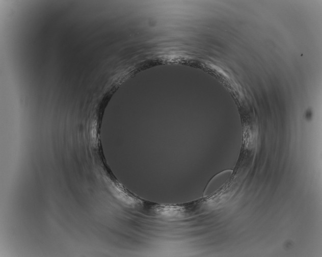 X0000097910670200803211506