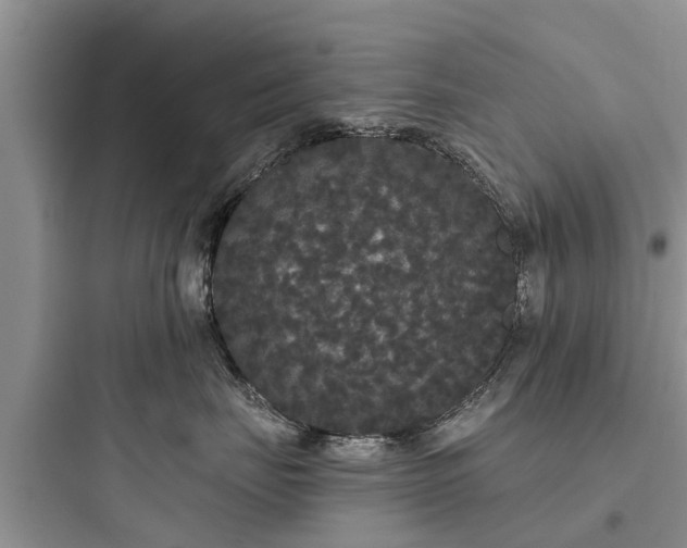 X0000097910671200803211506