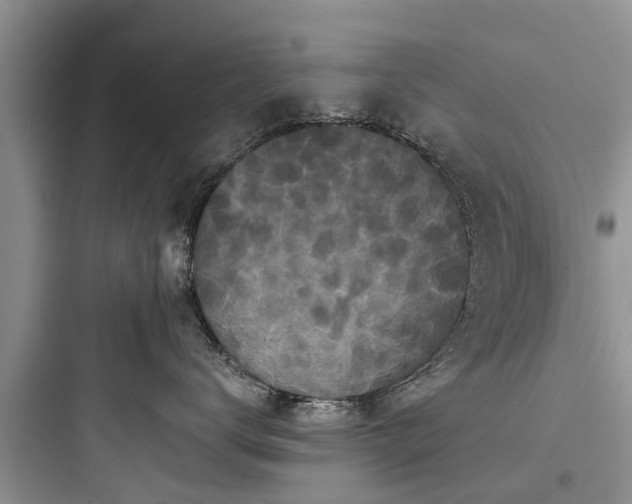 X0000097910672200803211506