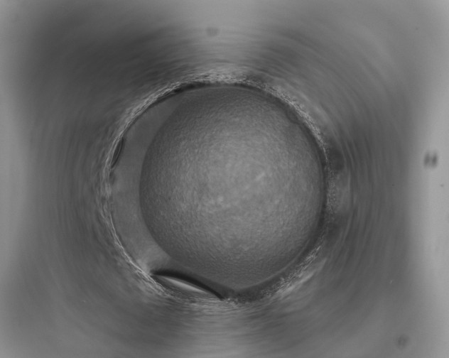 X0000097910673200803211505