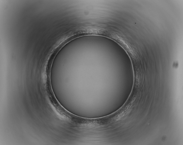 X0000097910674200803211505