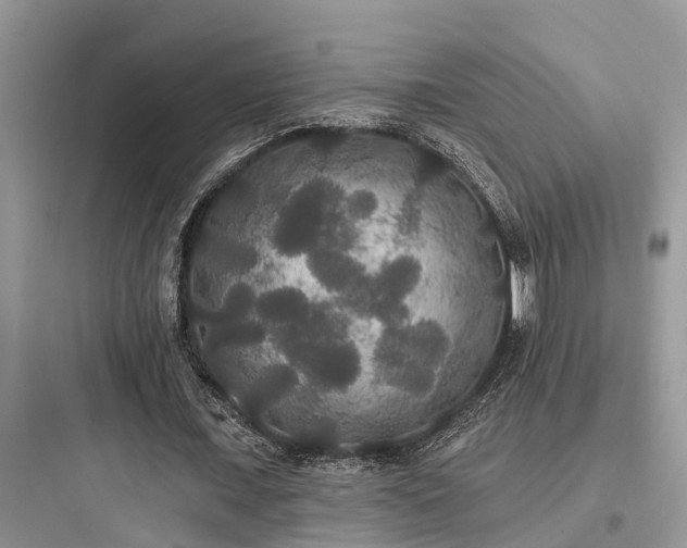 X0000097910675200803211505