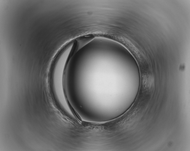 X0000097910676200803211505