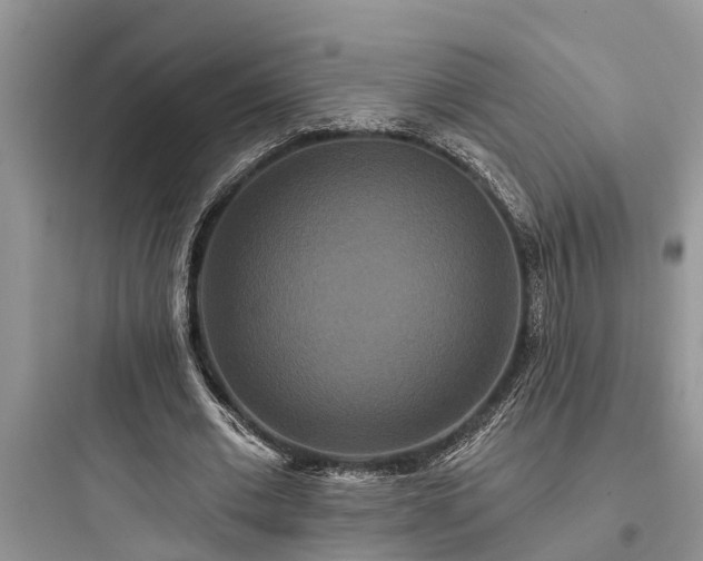 X0000097910677200803211505