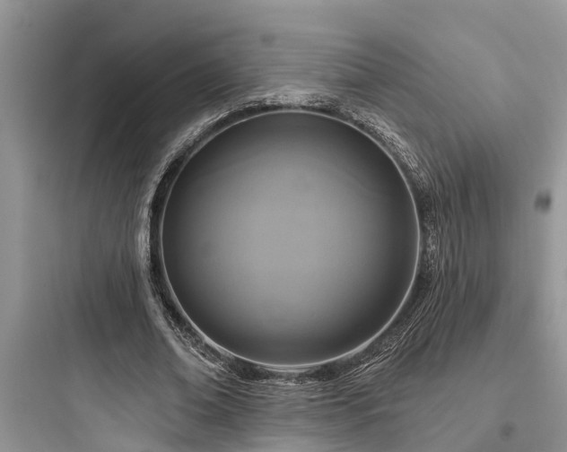 X0000097910678200803211505