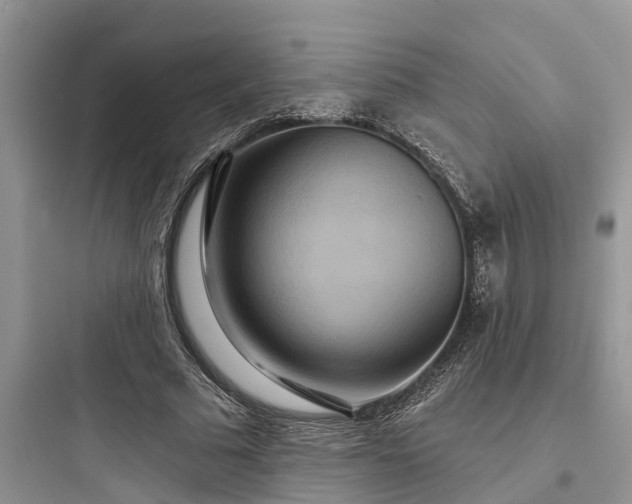 X0000097910681200803211505