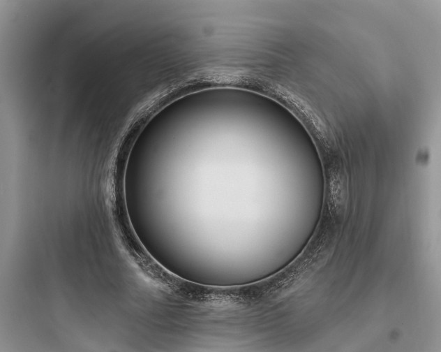 X0000097910682200803211505