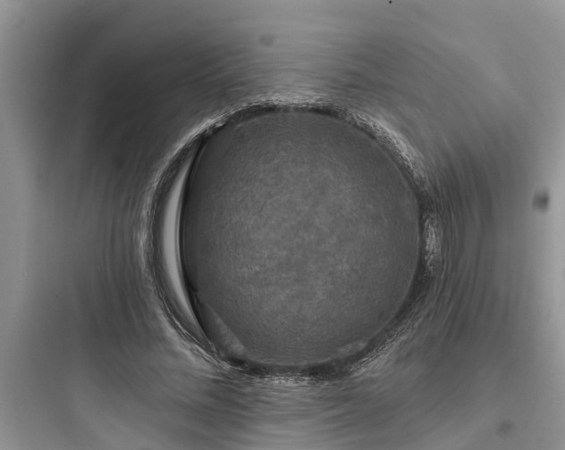 X0000097910684200803211505