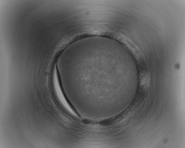 X0000097910685200803211505