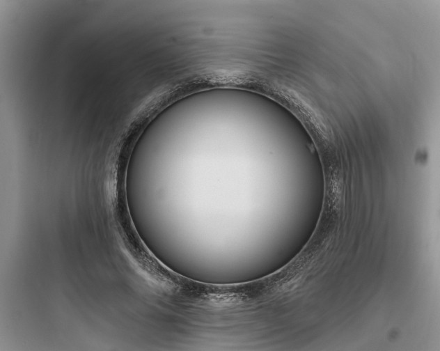 X0000097910686200803211505