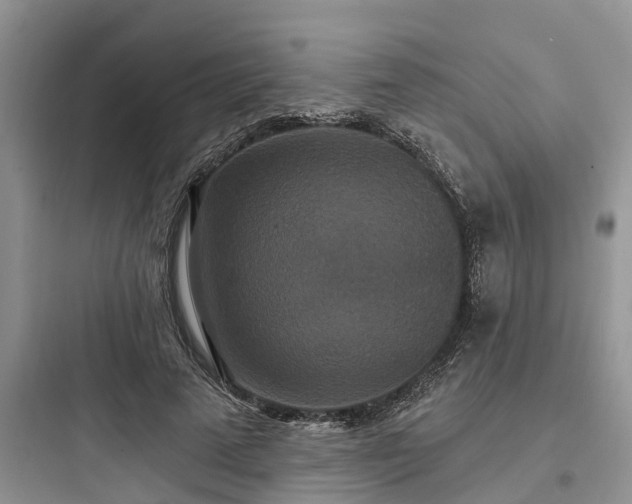 X0000097910689200803211505