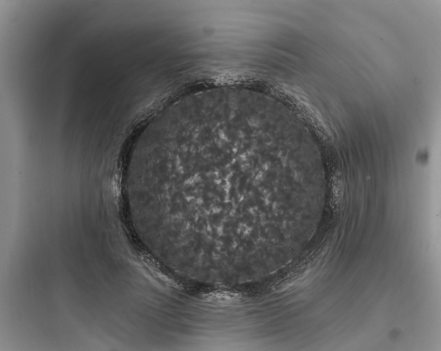 X0000097910691200803211505