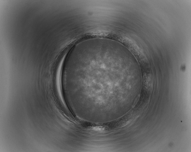 X0000097910692200803211505