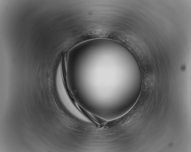 X0000097910693200803211505