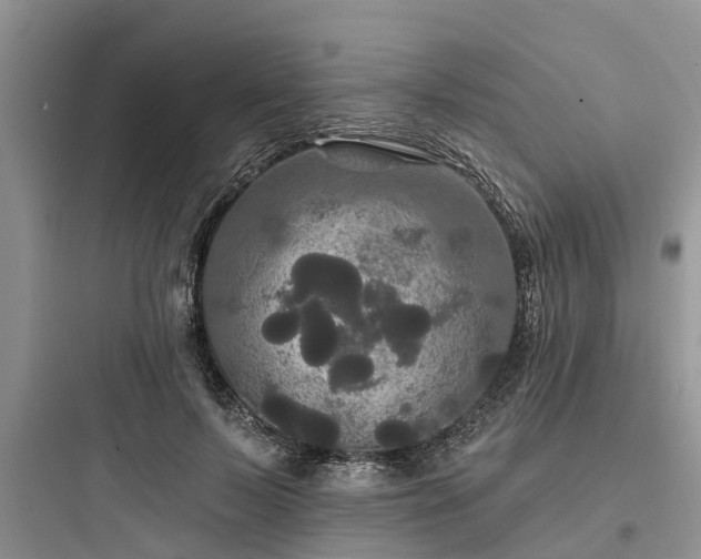 X0000097910695200803211505