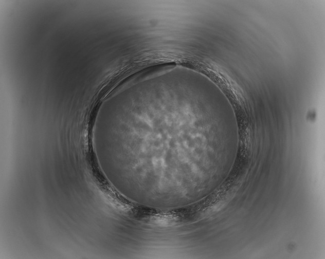 X0000097910696200803211505