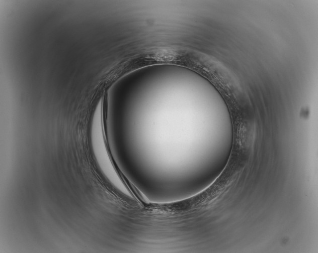 X0000097910697200803211505