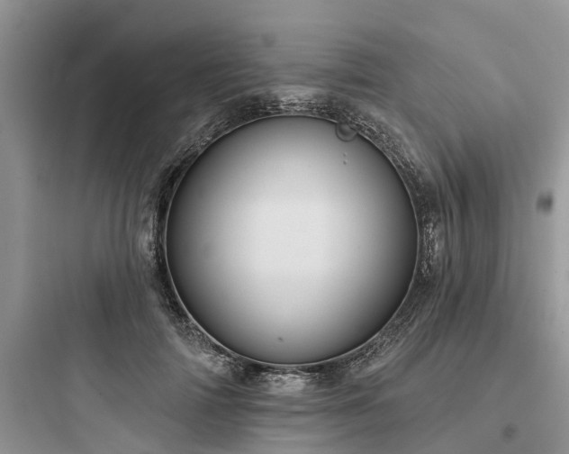 X0000097910698200803211505