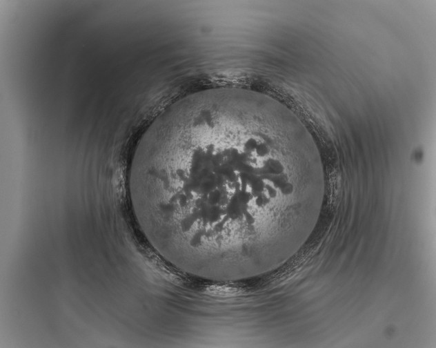 X0000097910699200803211505