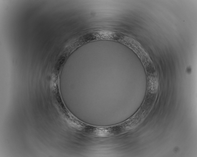 X0000097910701200803211505