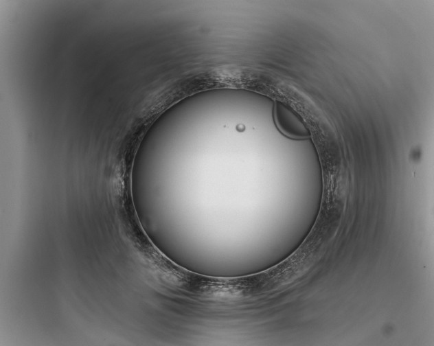 X0000097910702200803211505