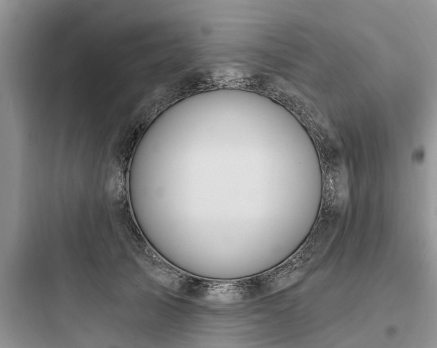 X0000097910705200803211505