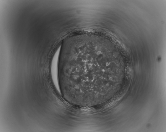 X0000097910707200803211505