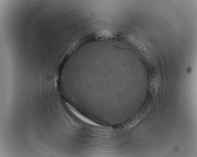 X0000097910708200803211505