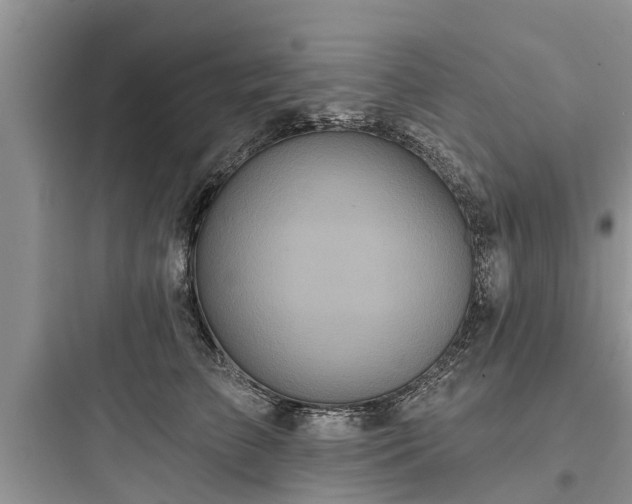 X0000097910709200803211505