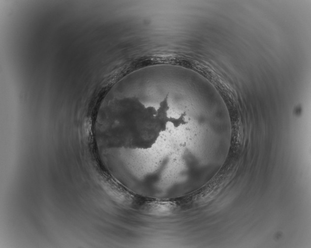 X0000097910711200803211505