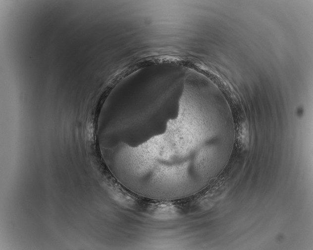 X0000097910715200803211505