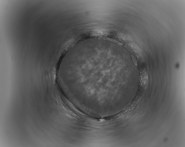 X0000097910716200803211505