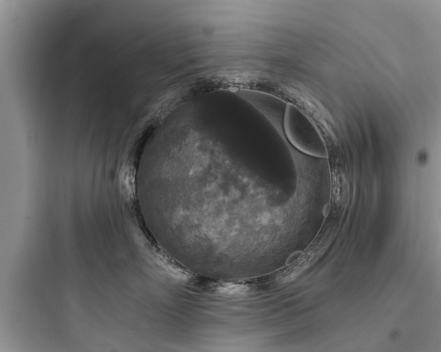 X0000097910718200803211505