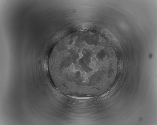 X0000097910719200803211505