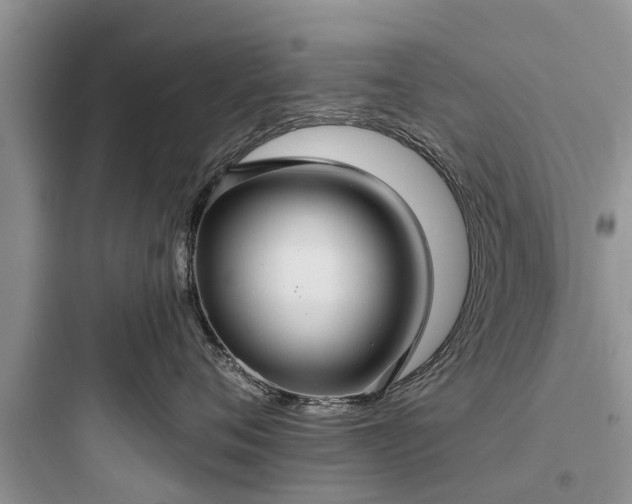 X0000097910720200803211505