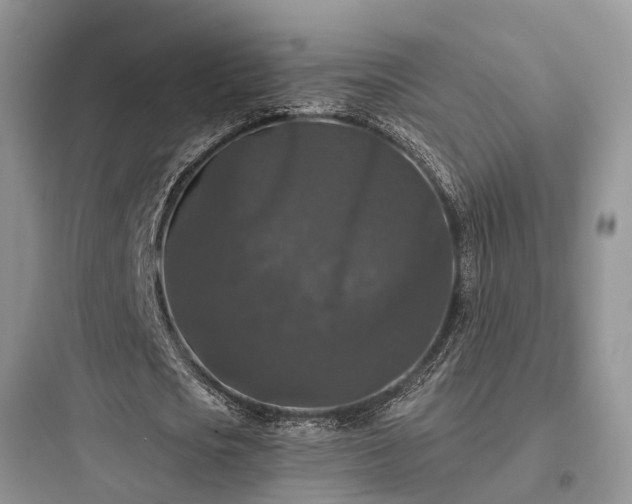 X0000097910721200803211504