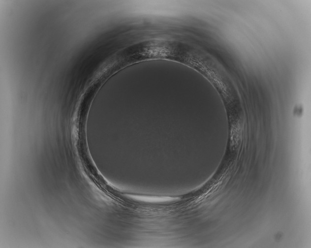 X0000097910722200803211504