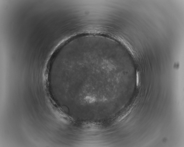 X0000097910723200803211504