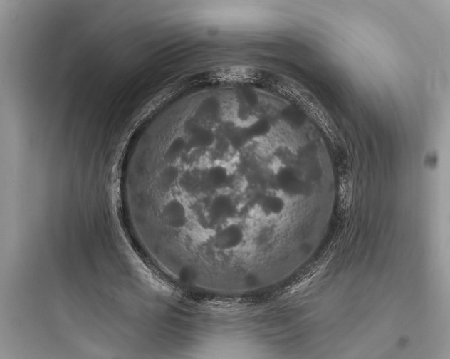 X0000097910725200803211504