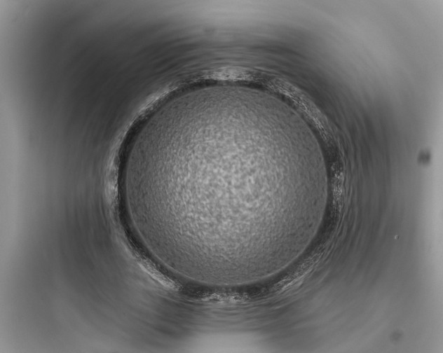 X0000097910727200803211504