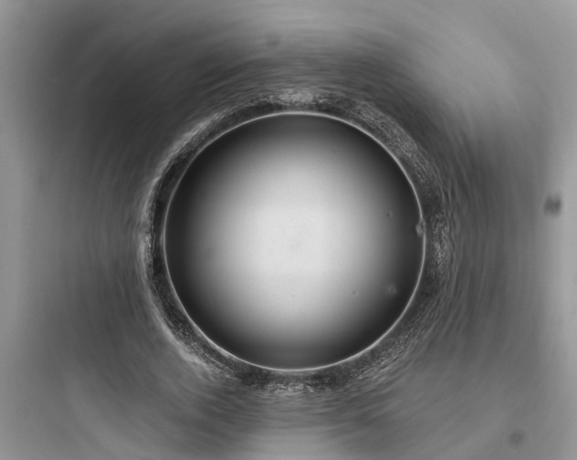 X0000097910728200803211504